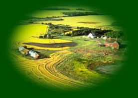 Western Manitoba Bed and Breakfasts, B&Bs